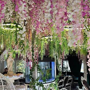 4* Hotel Viktoriya Family Restaurant Complex